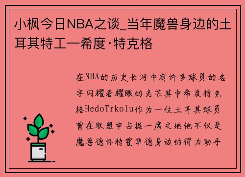 小枫今日NBA之谈_当年魔兽身边的土耳其特工—希度·特克格