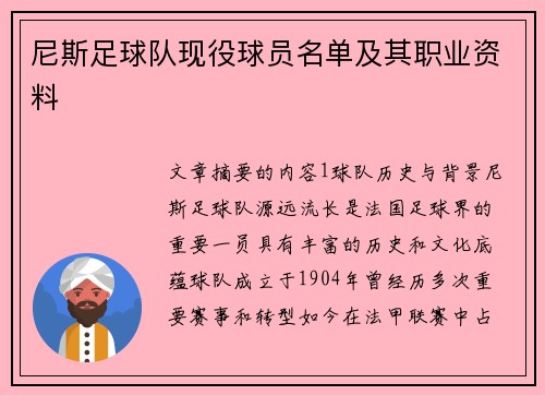 尼斯足球队现役球员名单及其职业资料
