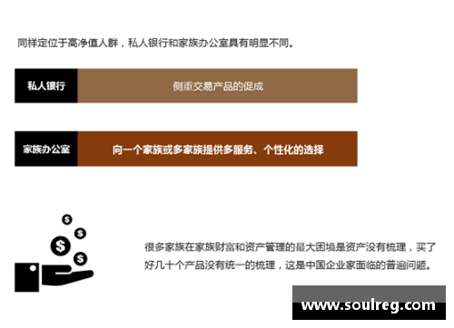 OB视讯官方网站2023年家族办公室研究报告：财富传承的新视角 - 副本 - 副本